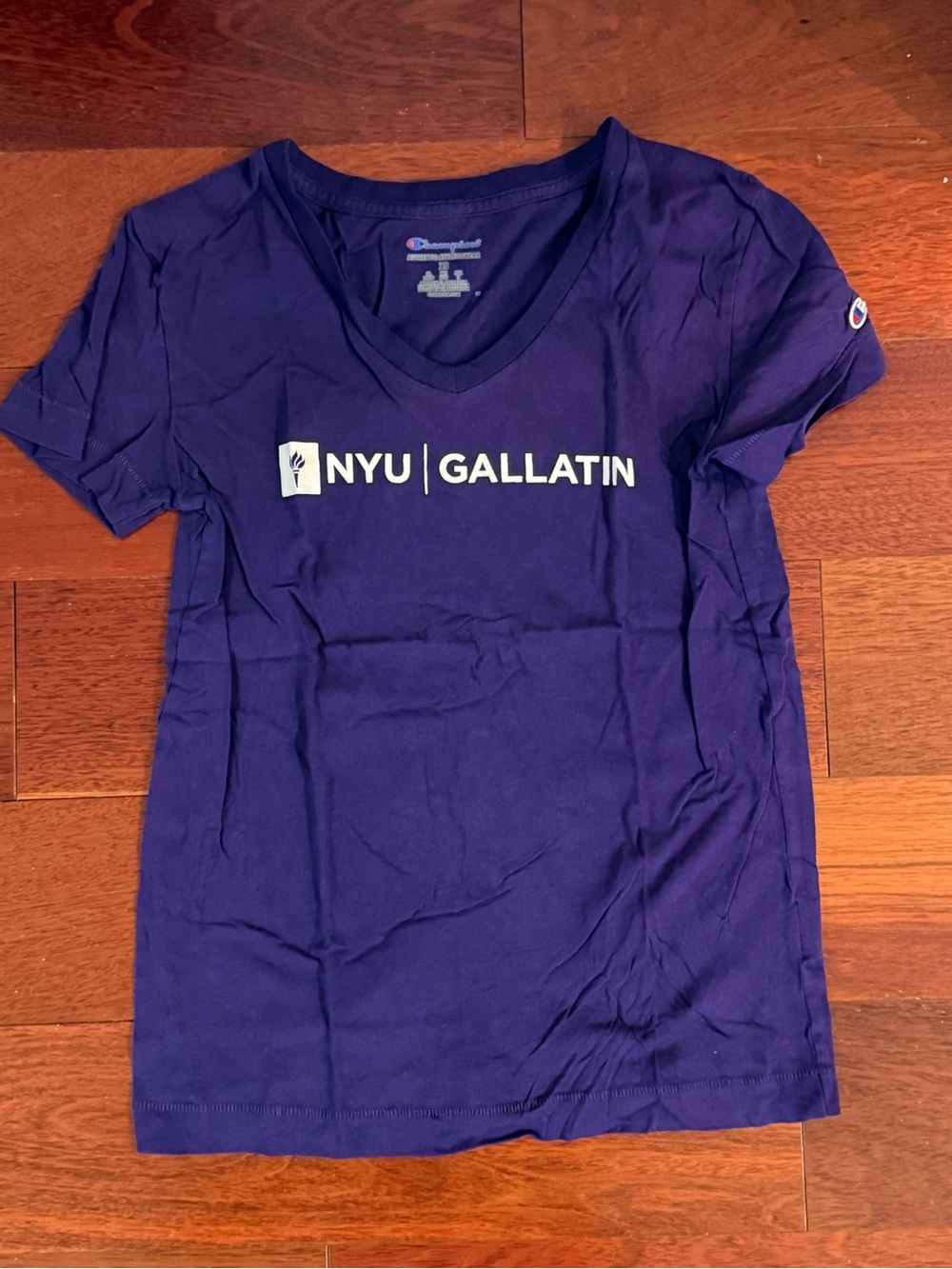 Champion NYU Gallatin V-Neck Tee in Purple
